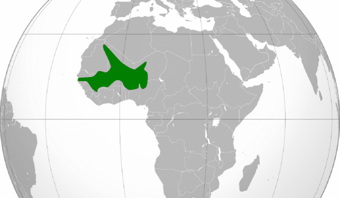 image for article on Songhai Empire